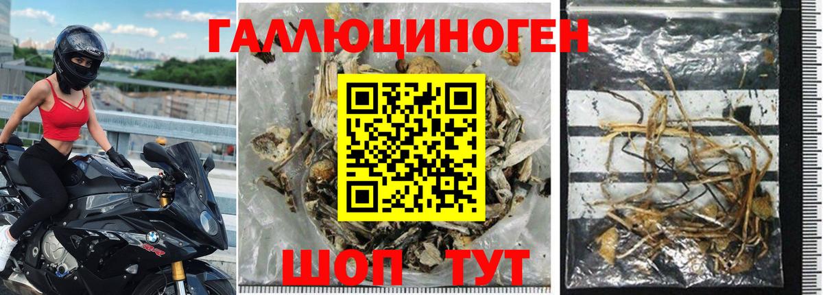 Галлюциногенные грибы прущие грибы Владимир