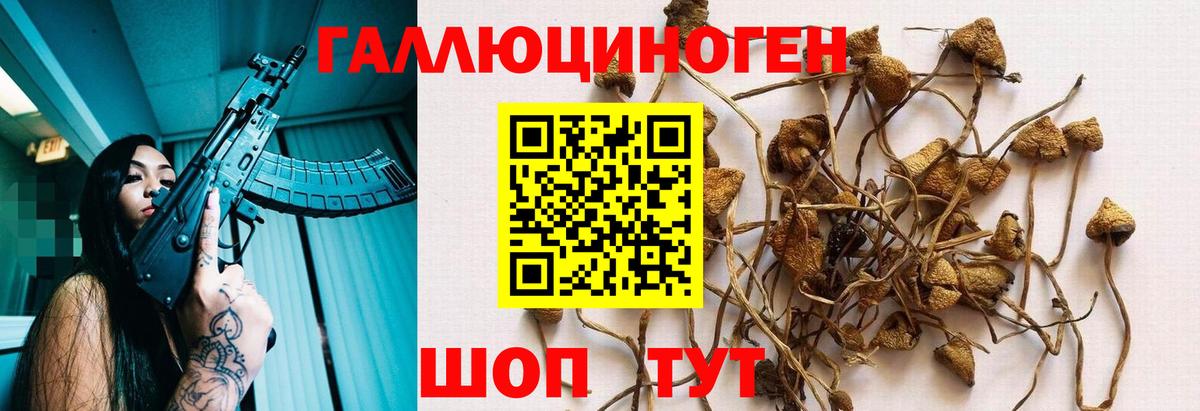 Галлюциногенные грибы мухоморы  Псилоцибиновые грибы мицелий  Вход с VPN  Владимир 